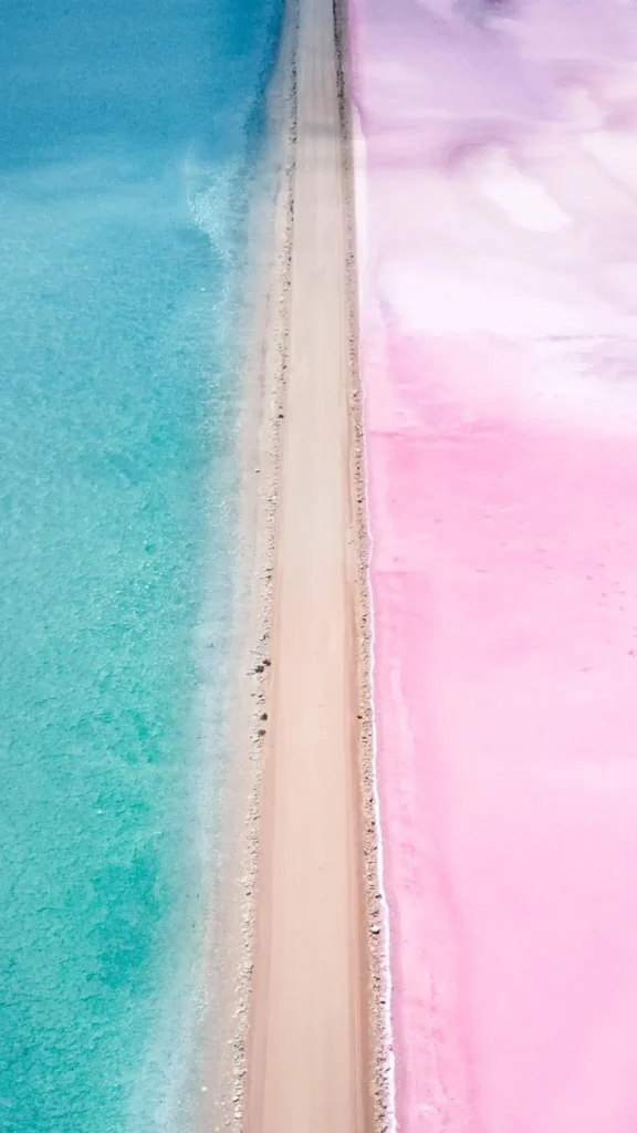 Road from above with teal water on left and pink on right - Lake Macdonnell - Penong