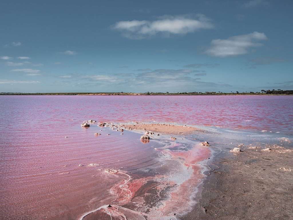 Pink Lake - Yorketown