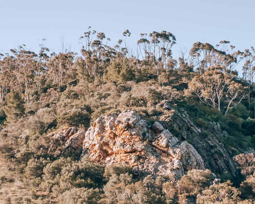 Morialta rock formations - Adelaide geology