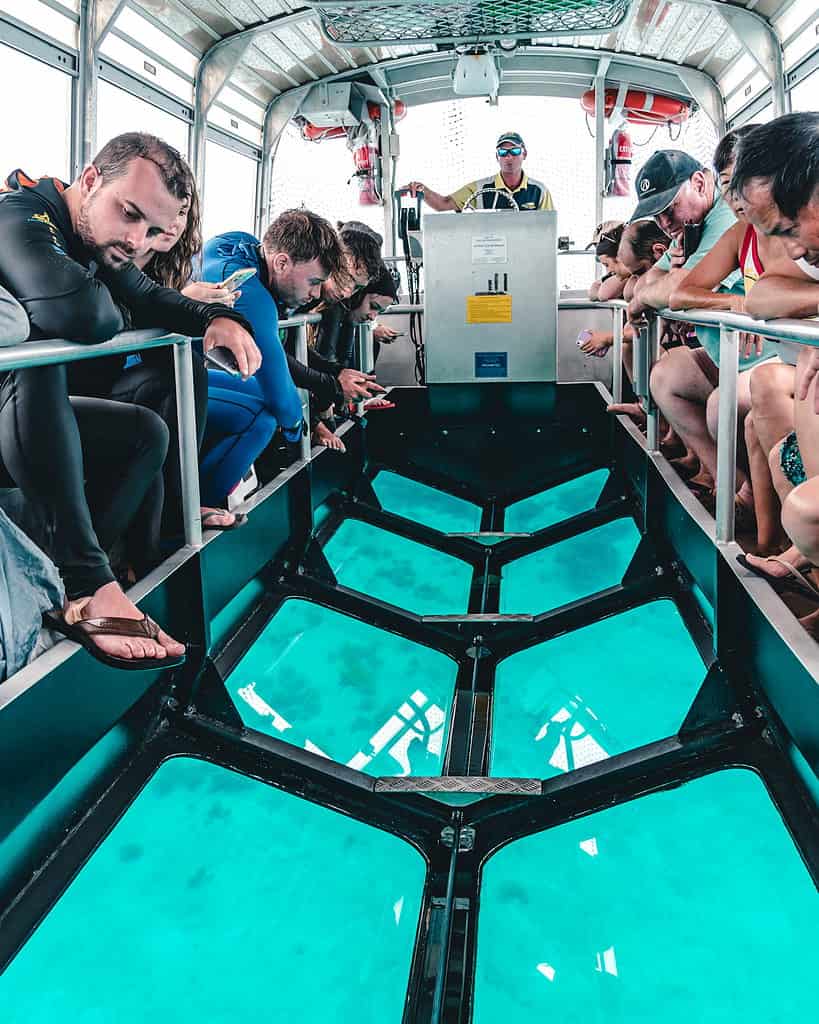 Glass Bottom Boat Ride - Green Island 