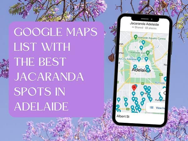 Jacaranda Map Adelaide