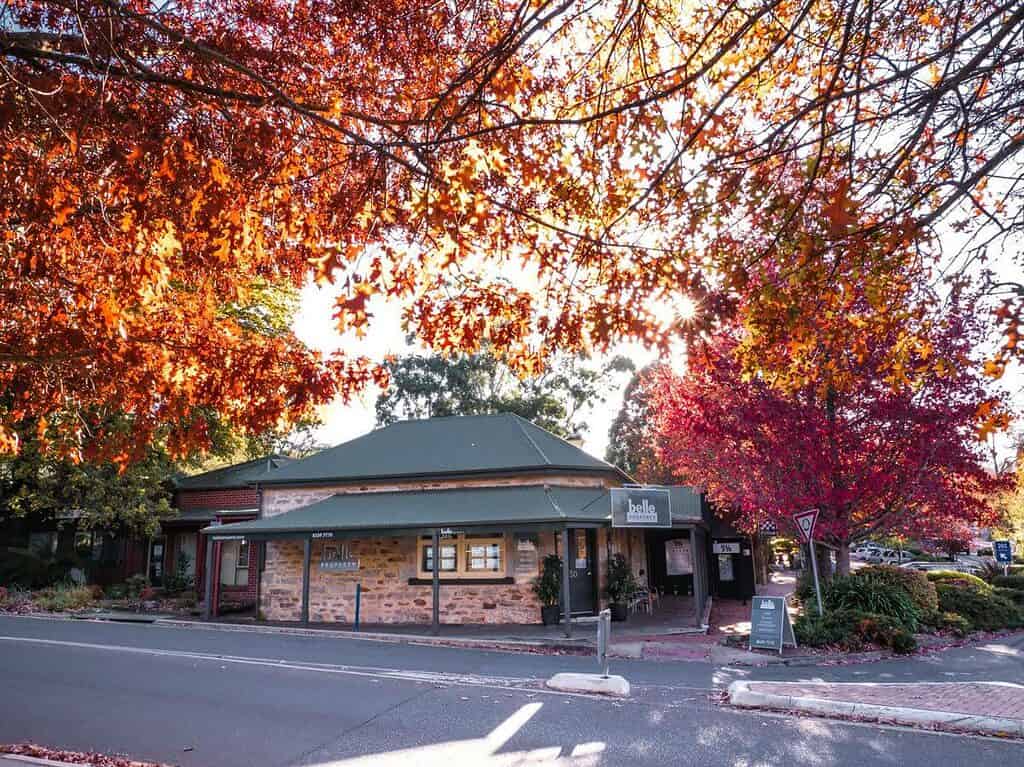 Stirling Adelaide Hills - street with cottage building and autumn leaves