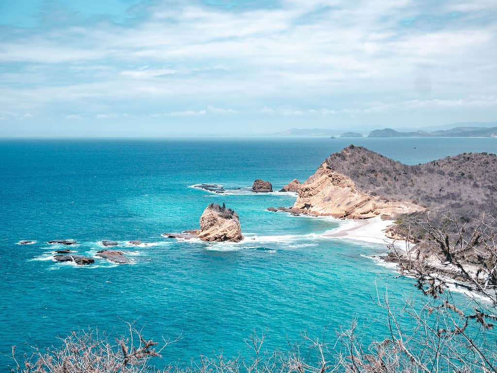 Coastline with brown plants and blue ocean. -Machalilla National Park