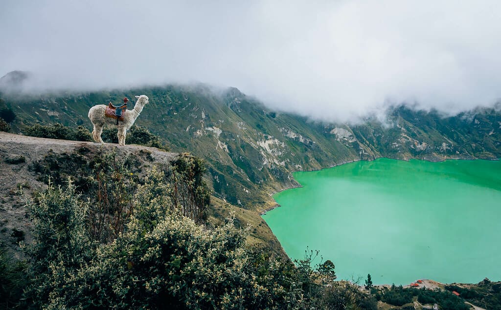 Quilotoa-Lake with llama