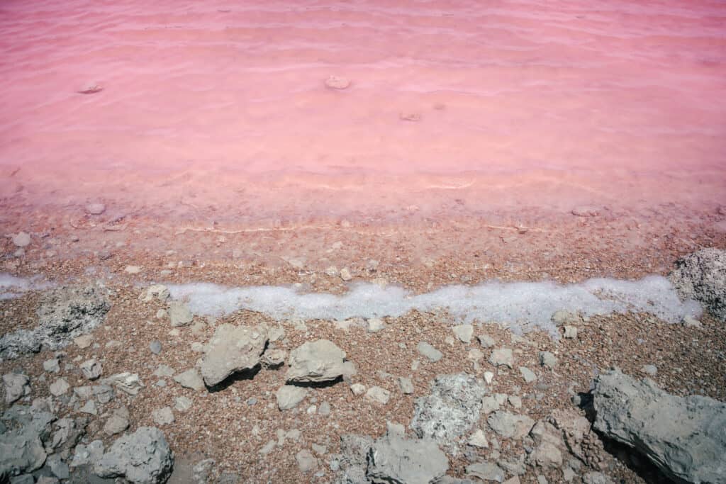 
Pink Lake Close Up
