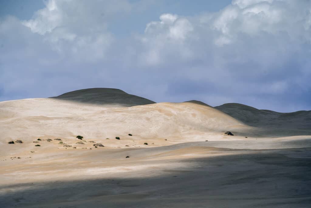 Sand Dunes West Coast