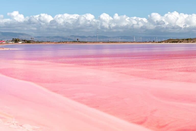 A serene landscape showcasing Bird Lake near Port Augusta with its distinctive pink waters, set against a backdrop of blue skies, fluffy clouds, and distant mountains.