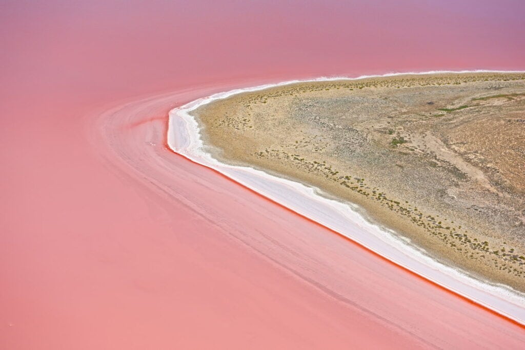 An aerial view of the striking pink waters of Lake Eyre, edged by a contrasting arid landscape, capturing the unique natural phenomenon of Australia's pink lakes.