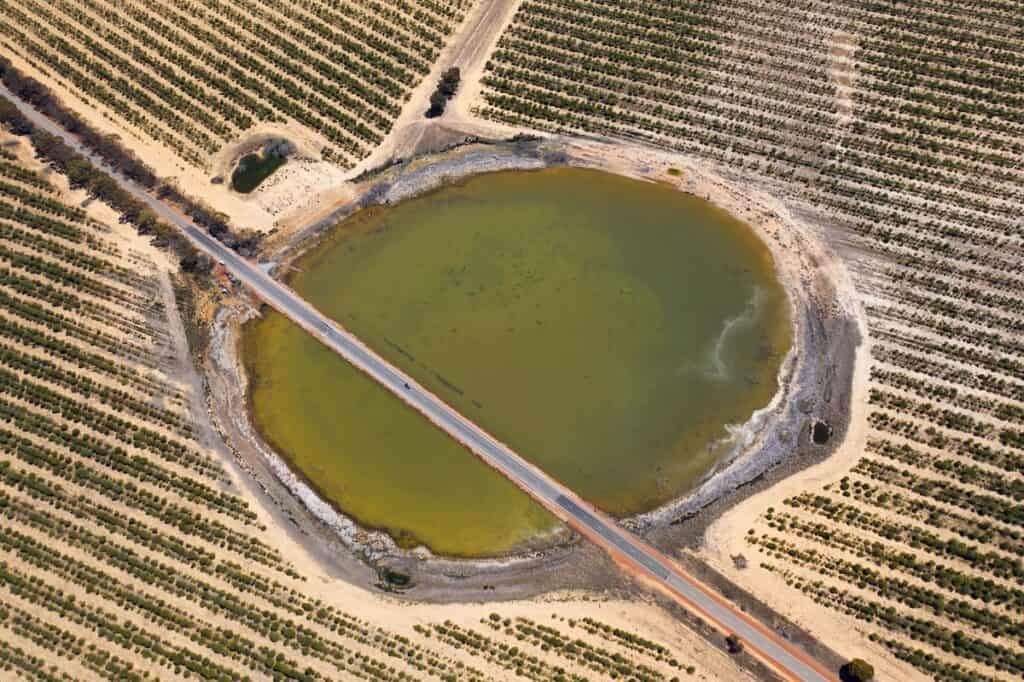 An aerial view of the Quairading Pink Lake, showing a greenish water body surrounded by roads and structured agricultural fields, demonstrating the contrast between natural elements and human-made landscapes.


